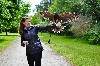 Lauren Henry flying Samhradh on their recent family Hawk Walk.
