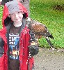 The Freeby family took a  Hawk Walk recently, where they flew Swift & Wilde. 