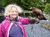 Cristina Zander with Geimhreadh after flying him on her Hawk Walk.