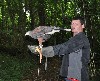 Troy with his hawk