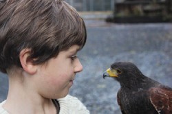 John Renaud meets Wilde as he sets off to fly him on his recent Hawk Walk.
