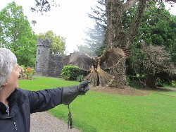 Joanne DeChants flying Inca recently. 