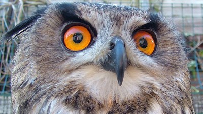 Brilliant photos of Dingle by Liam Kane Brilliant photos of Dingle by Liam Kane