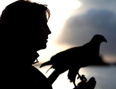 This is a stunning photo of Aoife flying Milly by the lake. This is a stunning photo of Aoife flying Milly by the lake.