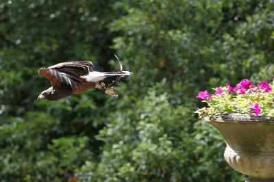 This is an outstanding photo - thank you so much to the Schramsberg family for sending it in. This is an outstanding photo - thank you so much to the Schramsberg family for sending it in.