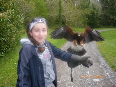 Thank you to Lindsey for this brilliant photograph of Rua coming in to land! Thank you to Lindsey for this brilliant photograph of Rua coming in to land!