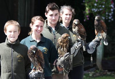 The class of 2012 at 9 weeks old. From the front is:- Maya (female), Inca (Peruvian female), Aztec (male) & Chico (male). The class of 2012 at 9 weeks old. From the front is:- Maya (female), Inca (Peruvian female), Aztec (male) & Chico (male).
