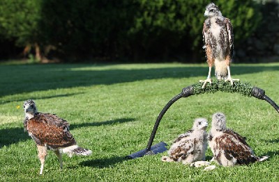 It took an age to get everyone to please sit still!! It took an age to get everyone to please sit still!!
