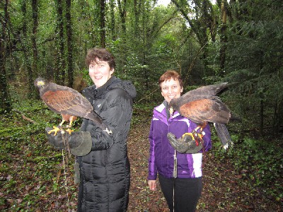 February Hawk Walk guest photos February Hawk Walk guest photos