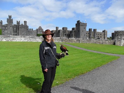 January Guest Gallery January Guest Gallery