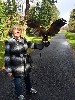 Here is Christina Gamgene flying wonderful Wexford during her recent Hawk Walk with us.