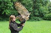 Thank you to Caitlin Moen for this great photo of Danielle with wonderful Dingle, our Eurasian Eagle Owl. Danielle was the Moen's Falconry Instructor during their recent Hawk Walk here.