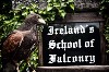 Scott Keelin sent this great photo of Earrach examining our Falconry School sign!