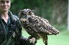 Steve Lowe sent us this great photo of Anya with Dingle, our European Eagle Owl.