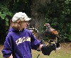 The Schwartzbard girls come face to face with the hawks they are about to fly (Aztec, Chico & Maya)