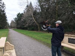Here is  Jon Bennett flying wonderful Aztec during his Hawk Walk. 