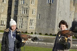 Helena Oosthuizen sent this lovely photo from her Hawk Walk with us. Helena and friend flew wonderful Joyce & Beckett here. 
