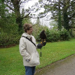 Pam Kobza flying Swift recently.