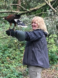 Thank you to Jim & Suzanne Galley for these great photos from their recent Hawk Walk here. Jim & Suzanne flew wonderful Lima & Fomhar with us. Here is Suzanne flying Fomhar in the woods.