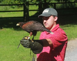 Devin Adler flying Uisce during his recent Hawk Walk with us.