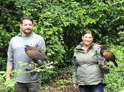 Tracy Doyle sent this great photo from her recent Hawk Walk flying lovely Cara (now 19 years of age) and young Bagun (not quite 3 years of age yet).