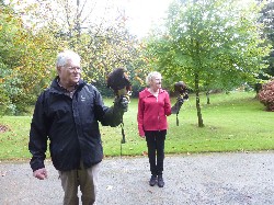 Stuart & Frances Lange flying Joyce & Stoker on their Hawk Walk.