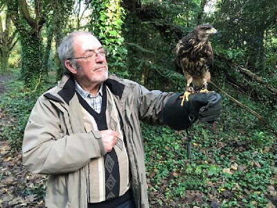 Here is little Pippin on his first Hawk Walk. He is just 4 months old but is coming along very well. Alan Kay did a wonderful job of flying him, taking good care of him on his first ever Hawk Walk. Here is little Pippin on his first Hawk Walk. He is just 4 months old but is coming along very well. Alan Kay did a wonderful job of flying him, taking good care of him on his first ever Hawk Walk.