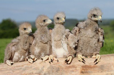 The class of 2021! The class of 2021!