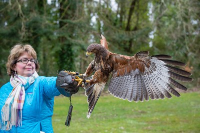 Wow, this great photo was sent in by Joe Hohner of True North Attitude.com. Wow, this great photo was sent in by Joe Hohner of True North Attitude.com.