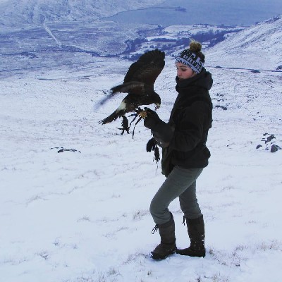 For World Falconry Day (slogan - Women Falconers) here is wonderful Danielle, one of the women falconers working here. We are very lucky to have such a great team of women falconers. Danielle is pictured on nearby Mount Gable flying one of the young Harris hawks. For World Falconry Day (slogan - Women Falconers) here is wonderful Danielle, one of the women falconers working here. We are very lucky to have such a great team of women falconers. Danielle is pictured on nearby Mount Gable flying one of the young Harris hawks.