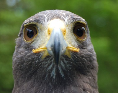 I love this brilliant close-up photo from Rayvin Brewer, it is absolutely stunning. I love this brilliant close-up photo from Rayvin Brewer, it is absolutely stunning.
