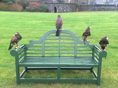 The Star Wars Babies! The Star Wars Babies!