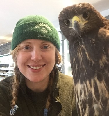 For World Falconry Day (slogan this year is Women Falconers) here is Meaghan, with one of the baby hawks, stopping for coffee at Mrs Tea\'s coffee shop! For World Falconry Day (slogan this year is Women Falconers) here is Meaghan, with one of the baby hawks, stopping for coffee at Mrs Tea\'s coffee shop!