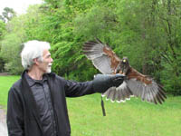 Ireland�s School of Falconry